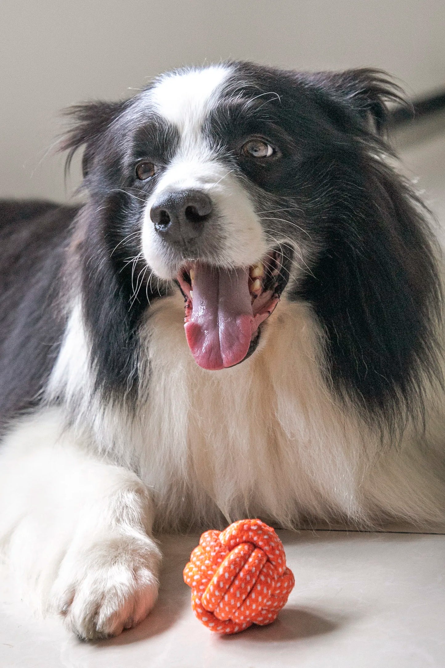 Rope Ball